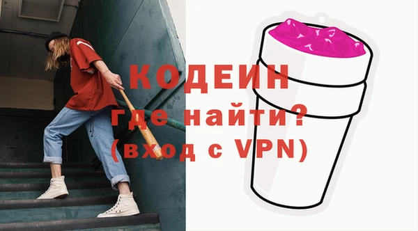 индика Баксан