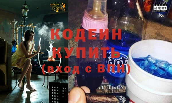 индика Баксан