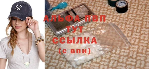 индика Баксан