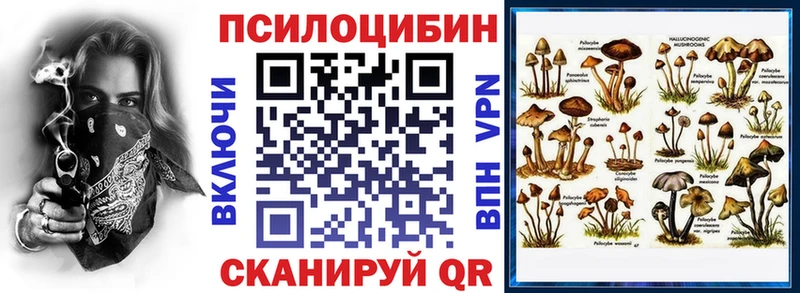 kraken зеркало  Красный Холм  Псилоцибиновые грибы Magic Shrooms 